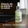 ORE Aceite de Orégano 80% Carvacrol, Orgánico y Silvestre, con