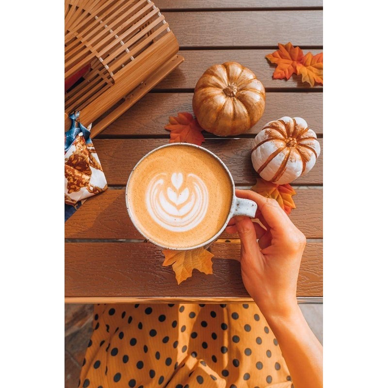 Canadian Bagels | Sazonador Everything Pumpkin Spice Presentación Food Service