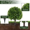 Chillchard Artificial Boxwood Topiary Outdoor Plants with Spike, 2 Pack