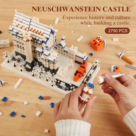 Seyaom Germany Swan Stone Castle Mini Bricks Kit, Light-Up World Architecture Model Building Set for Adults, Boys, Girls 10+, (2800 Pcs)