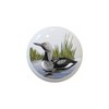 Loon - Loons - DECORATIVE Glossy CERAMIC Cupboard Cabinet PULLS