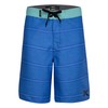 Hurley Boys Board Shorts, Neptune Blue, 20