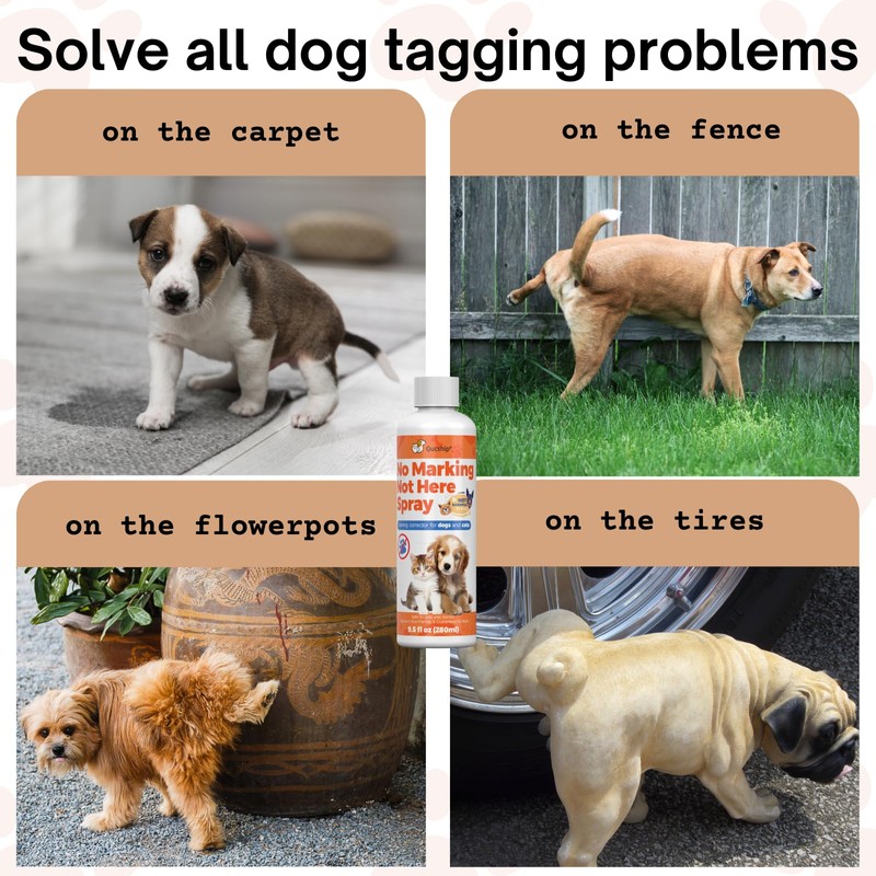 Qucship 8Oz Effective Solution for Managing Pet Behavior - Not