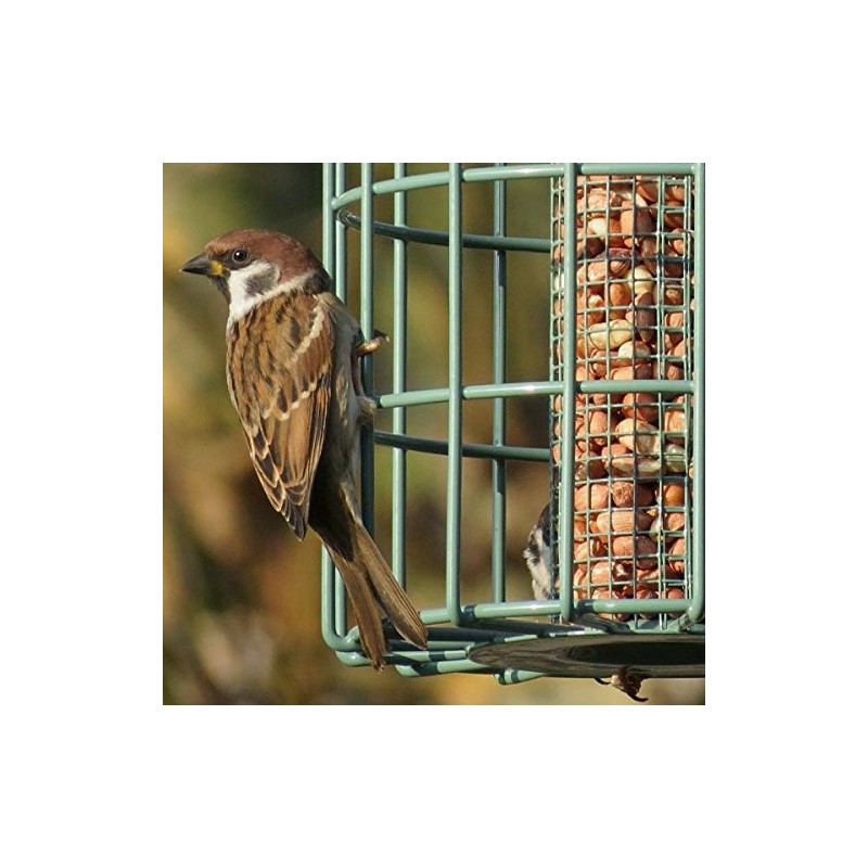 The Nuttery ORGN03 Original Nut Squirrel Proof Bird Feeder, Ocean