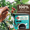 Wellsley Farms Donut Shop Coffee Pods | Medium Roast |