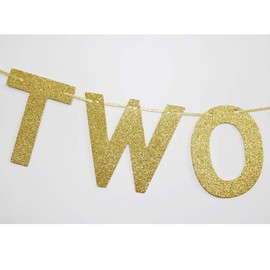 Two Fancy Banner, Kids' / Boys' / Girls' / Twins' 2nd Birthday Party Sign Garlands, Fun Paper Photoprops