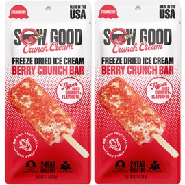 Sow Good Freeze Dried Ice Cream Candy Berry Crunch Ice Cream Bar 2 Pack. Perfect for Snacking, Parties & Astronauts