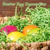 200 g Easter Grass, Easter Grass Shredded Paper Green, Easter