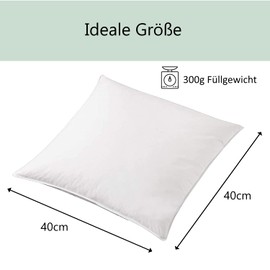 Welt der Träume 2 x Down Pillows, 40 x 40 cm, Filling Weight: 300 g, 100% Cotton, 40 x 40 cm, Feather Pillow, No Live Pluck, White, Pack of 2