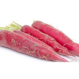 Radish Red Arrow Sprouting Microgreen Heirloom Vegetable by Seed Kingdom 700 Seeds