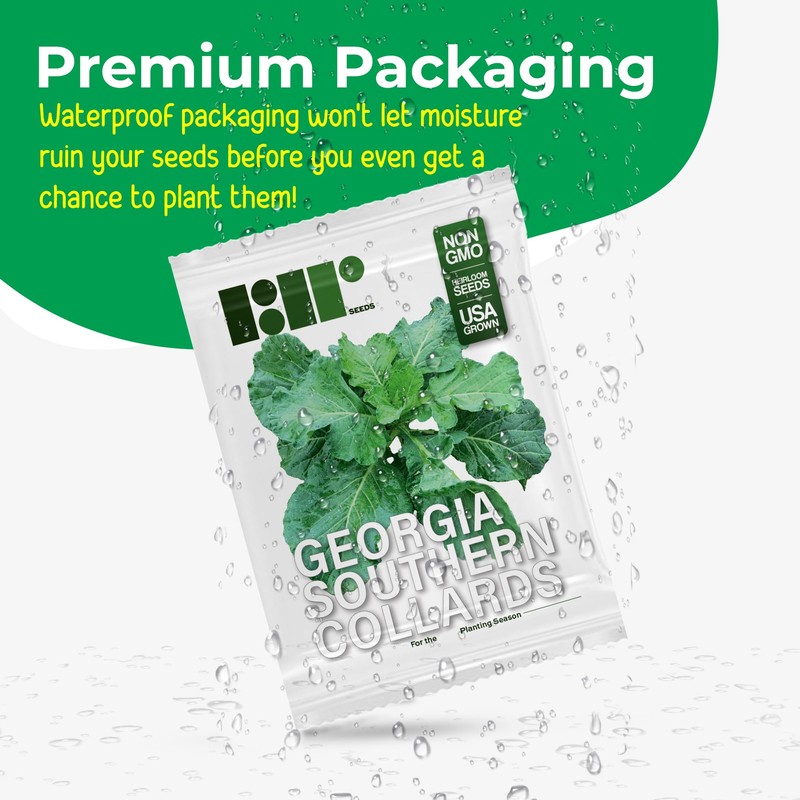1000+ Georgia Southern Collard Greens Seeds for Planting - Heirloom,