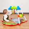SMART STEPS by baby trend STEM Jammin’ Gym with Play