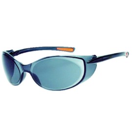 TRUSCO Double Eye Safety Glasses (go-gurutaipu) Lens Gray
