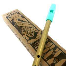 The Dannan Causeway Brass Tin Whistle in the Key of D - Turquoise Blue Model