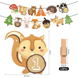 Photo Garland 1 Birthday, Baby Birthday Photo Garland Animal, First Birthday Garland Photo Banner, Baby Photo Banner Decoration, Photo Hanging Wall Decoration for Boys Girls Party Christening