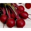 NIKA SEEDS - Vegetable Beet Red Ball Round Beetroot Heirloom