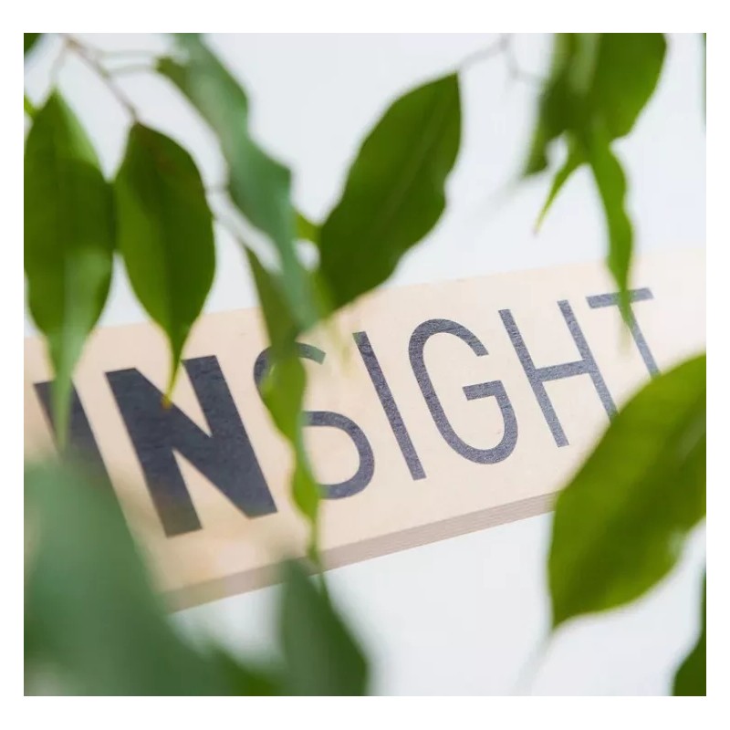 Insight Loss Control Shampoo Fortificante Anticaida