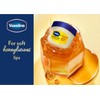 Vaseline Bálsamo para Labios Mini Tarro Queen Bee 7g, Hidratación