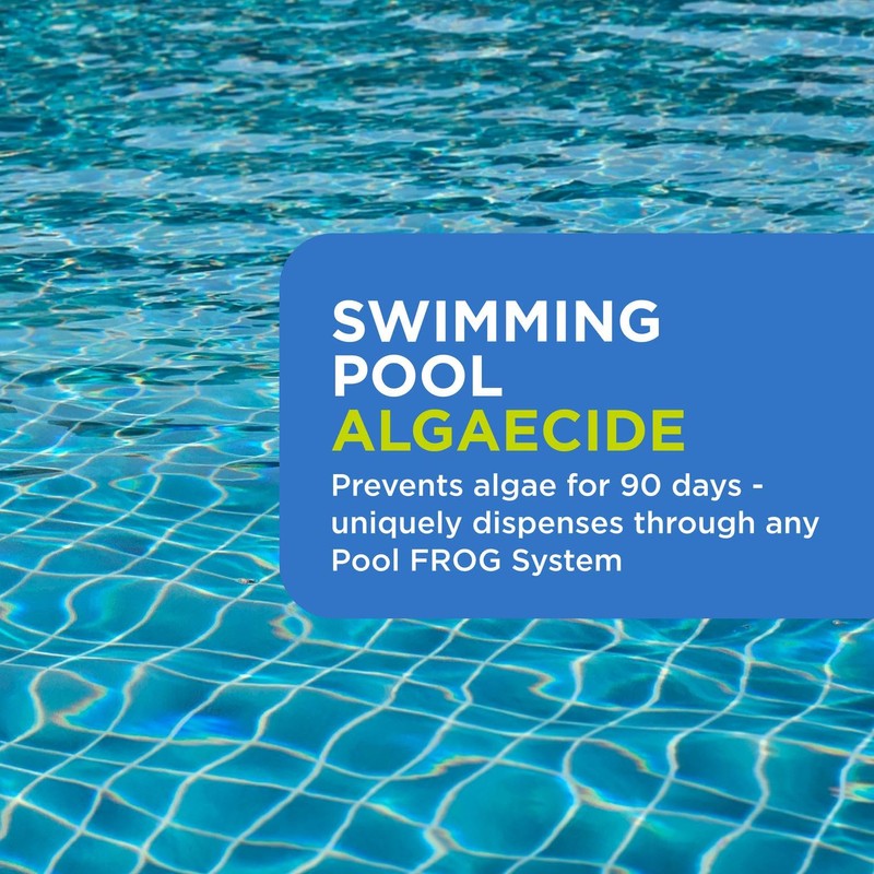 FROG BAM 90-Day Algae Preventative - Pool Winterizer Chemical and