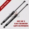 BOXI 2X Rear Tailgate Trunk Lift Supports Shocks For Nissan