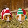Clysee 10 Pcs Guinea Pig Clothes, 5 Guinea Pig Costume
