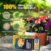 Citronella Incense Sticks - Suitable for Outdoor Camping, Patio, Hiking,etc