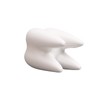 YOUYA DENTAL Succulent Plant Pots, Cute Tooth Shape White Ceramic