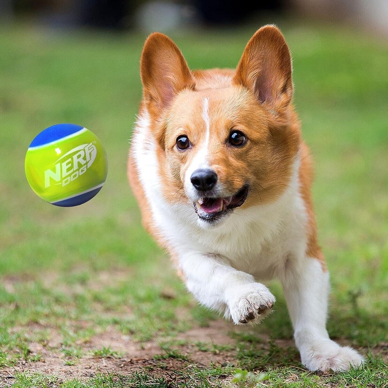 Nerf Dog Rubber Tennis Balls Squeaker Dog Toys 2 Pack