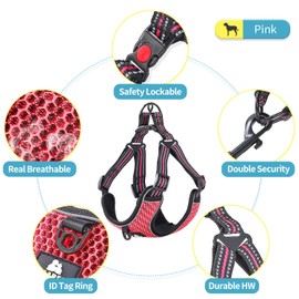 BAAPET Breathable Dog Harness for Small Puppy, Medium Dogs Step-in and Air Mesh with 6 Feet Reflective Rope Dog Leash (L - 6 FT x Chest (20~25''), Pink)