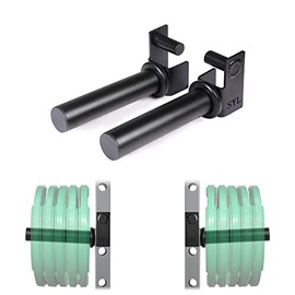 SYL Fitness Olympic Weight Plates Holder Power Rack Attachment Weights Storage Rack, Fit 2x2 inch & 3x3 inch Tube (Weight Plates Holder for Rack 2x2 in)