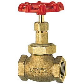 Kitz 3/4 G20A Globe Valve with Zisk Type 125