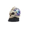 ICE ARMOR 6.75" H Skull with LED Light Glass Globe