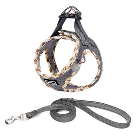 Mercano Soft Mesh Dog Harness and Leash Set, No-Chock Step-in Reflective Breathable Lightweight Easy Walk Vest Harnesses with Safety Buckle for Small Dogs, Cats (Grey, XS)