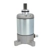 Soarider Trail Boss 330 Starter Motor for Polaris 2007-2013 3084981
