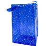 TotePrint Star Printing Clear Gift Bags with Handles Waterproof Transparent