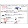 Winding Nail Lift with File (Crown Nail Lifts Set of