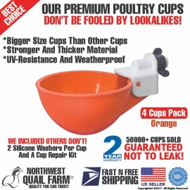 NWQuailFarm 4x Chicken Watering Cups Poultry Drinker Waterer Duck Geese Turkeys Quail Pigeon
