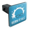 GRAPHICS & MORE Bern It All Bernie Sanders Burning Democrat