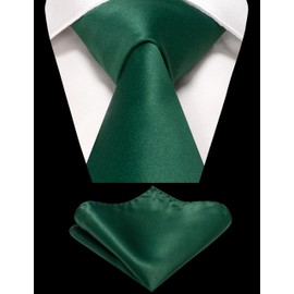 RBOCOTT Emerald Green Tie and Pocket Square Necktie Set for Men(29)