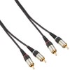 Elpa Audio Cable Pin Plug * 2 – Pin Plug