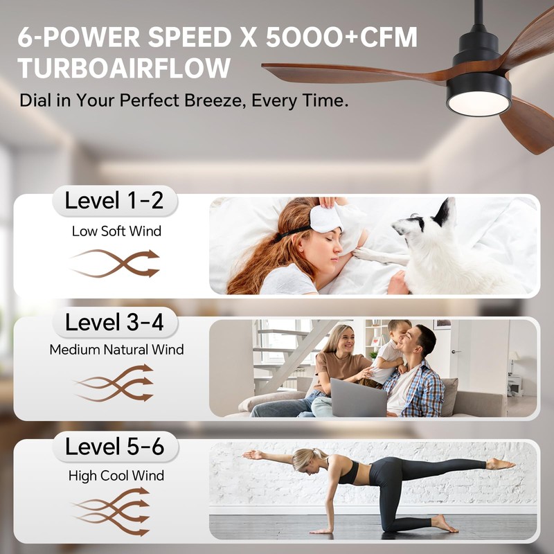 CACI Mall 48 inch Ceiling Fans with Lights, Smart Indoor/Outdoor