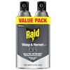 Raid Wasp & Hornet Killer Spray, Bug Killer Kills the