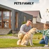 Aluminum Cat Door Interior Door, Pets Up to 22 lb