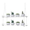 ZerzSemp 2-Tier Acrylic Window Display Shelves – 16" Adjustable Clear
