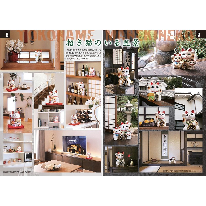 Liphontcta Japanease Lucky Cat Right Hand Maneki Neko koban 9.1inch