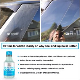 LITHIUM SEAL AND SQUEAL - SEALANT & POLISH