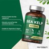 Horbaach Sea Kelp Tablets | 4000mg | 180 Vegan Tablets