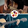 Pack of 10 Fruit Pattern Guitar Picks for Acoustic Guitar,