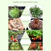 Otryad 40W Grow Light LED Plant Grow Lights Full Spectrum