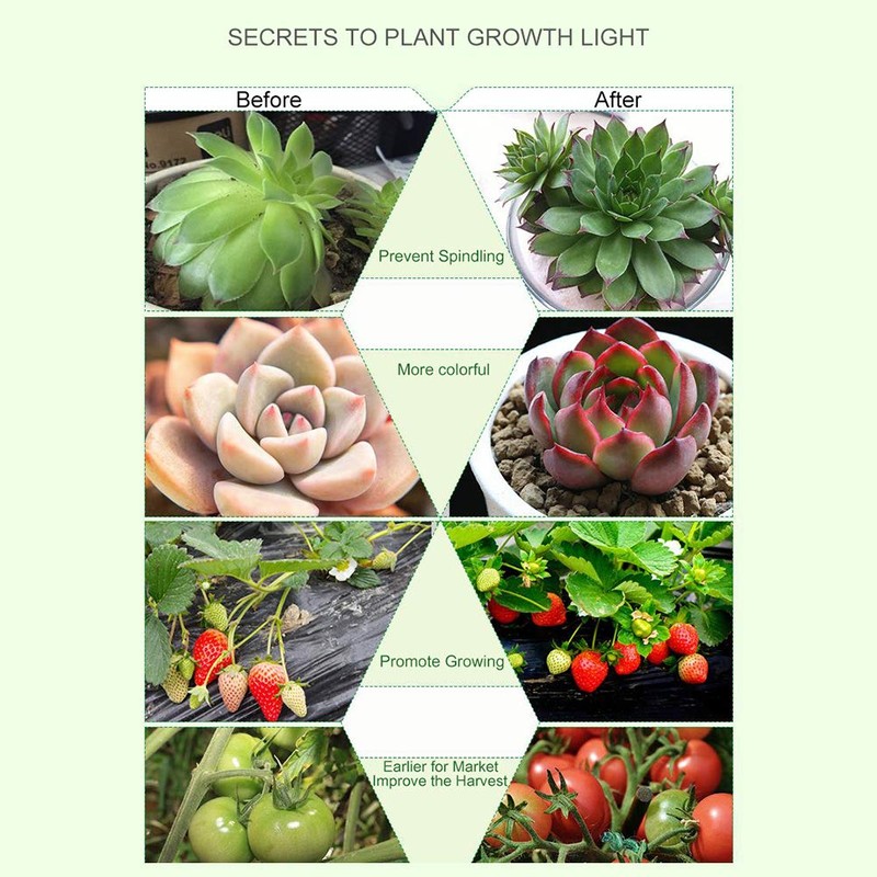 Otryad 40W Grow Light LED Plant Grow Lights Full Spectrum